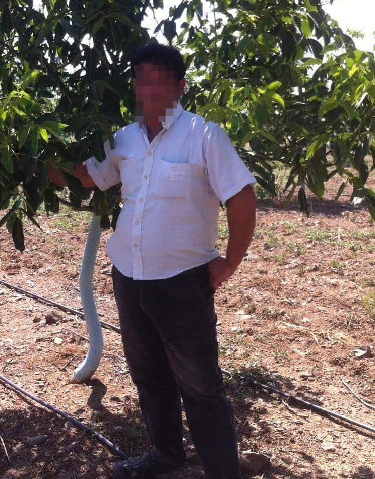 Üzüm bağında av tüfeğiyle öldürülen kadının komşusu gözaltına alındı