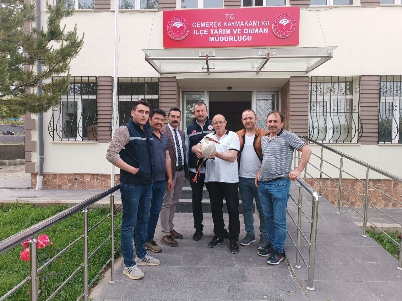 Yaralı halde bulunan leylek tedavi altına alındı