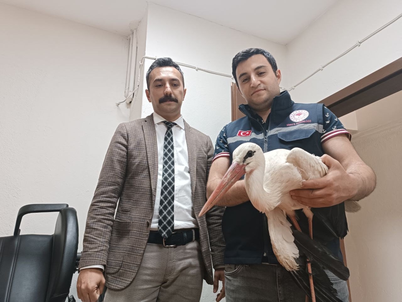 Yaralı halde bulunan leylek tedavi altına alındı