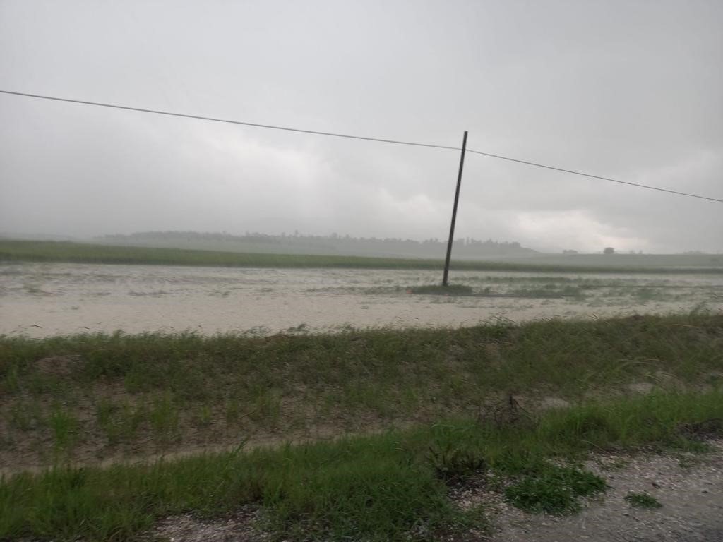 Sağanak ve dolu yağışı tarım arazilerini vurdu