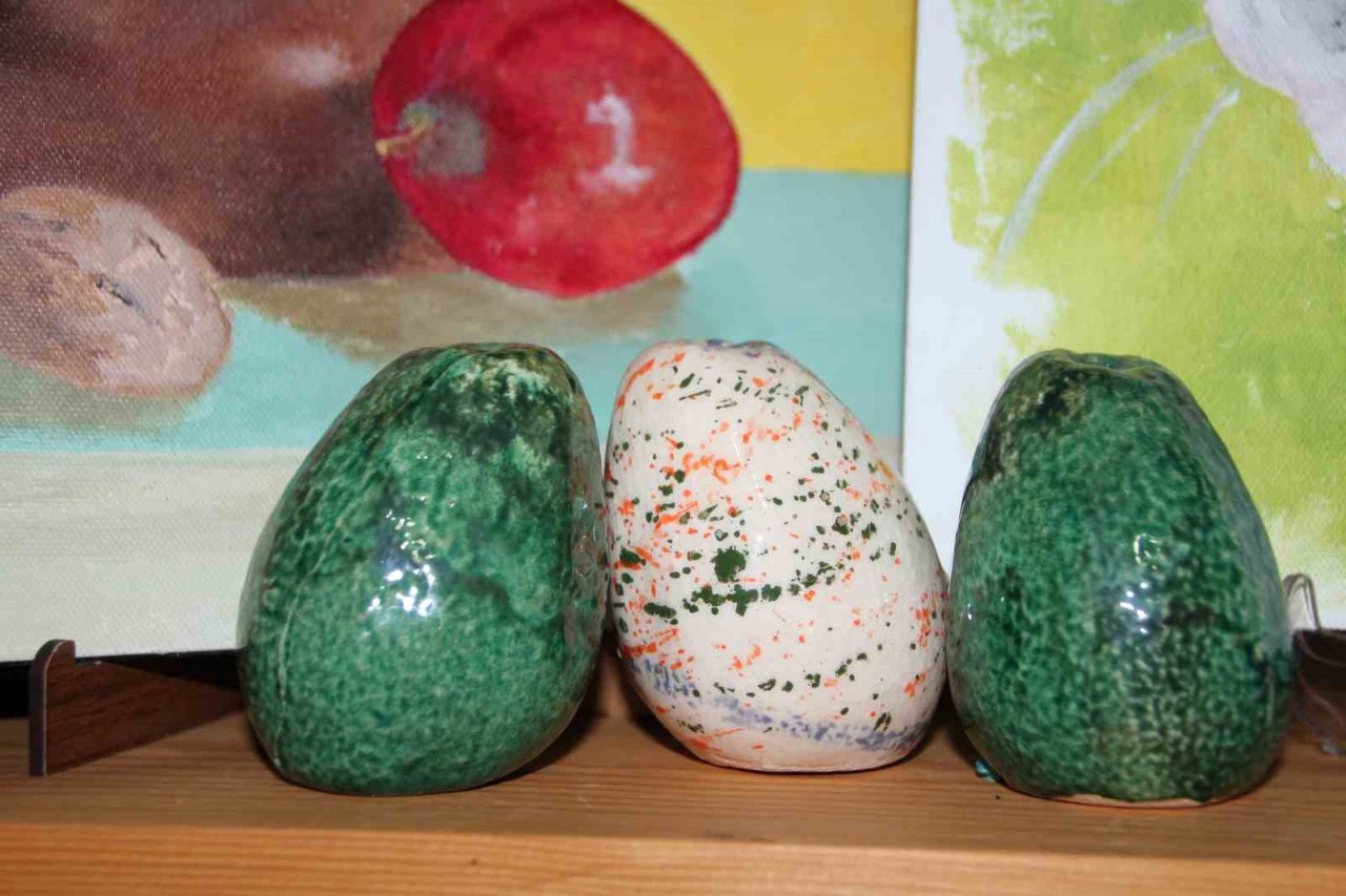 Bilecik’teki ilk sanat akademisini açtı