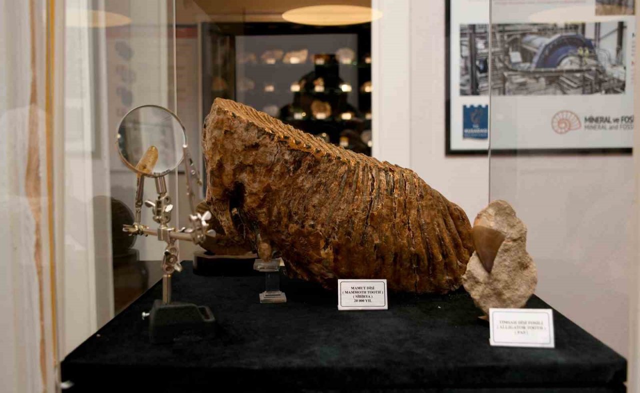 Kuşadası müzeleri ve kültür evleri ile dikkat çekiyor