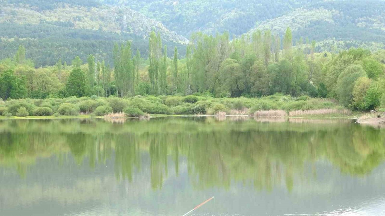 Yeşille mavinin buluşması