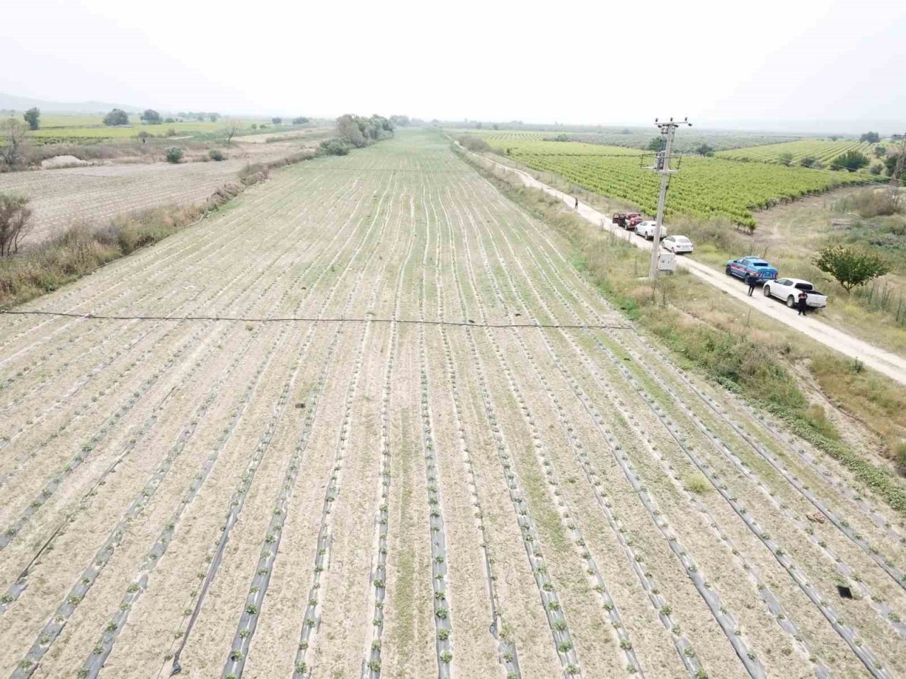 Göl arazisini işgal edip yıkım ve tarlalardan ürün sökümünü engellemek istediler