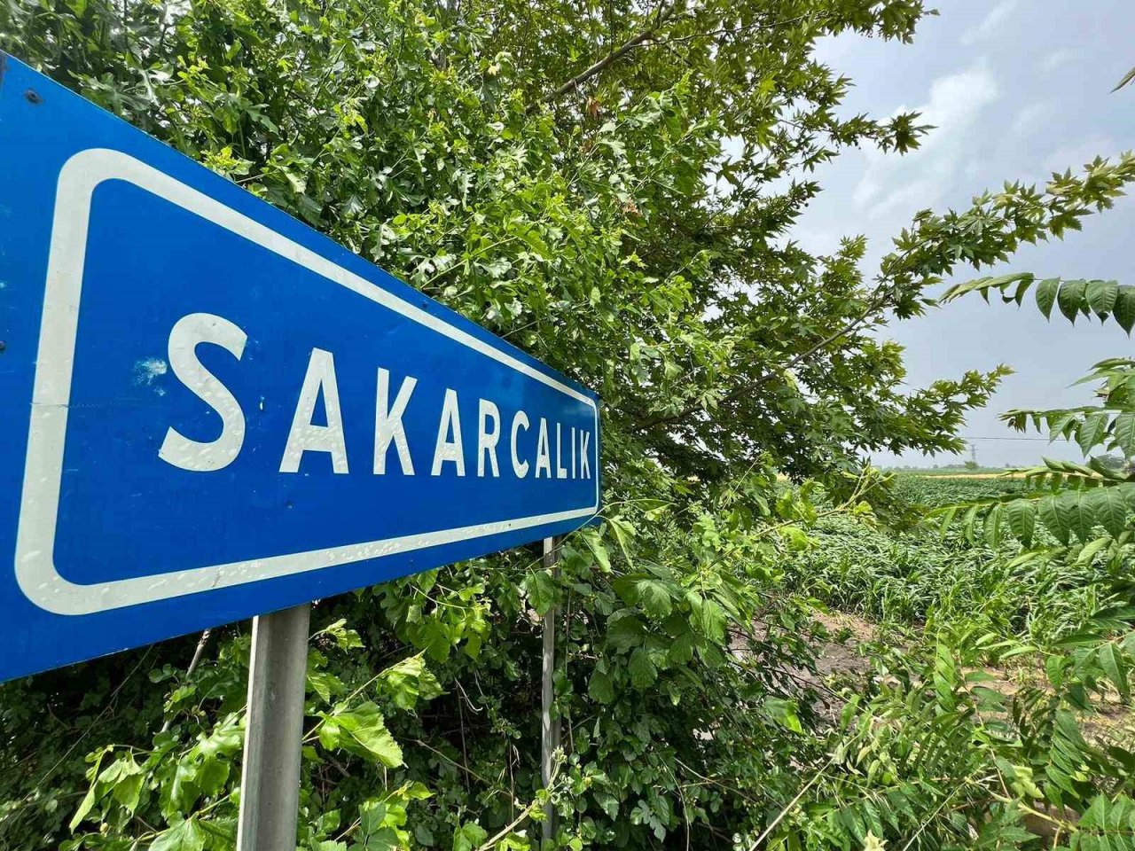 Osmaniye’de sağanak yağmur sonrası kanal taştı, evleri su bastı