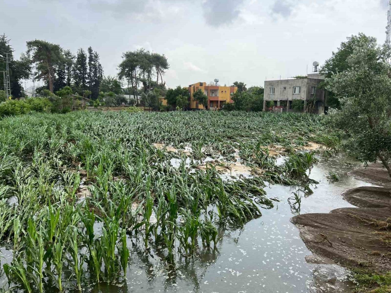 Osmaniye’de sağanak yağmur sonrası kanal taştı, evleri su bastı