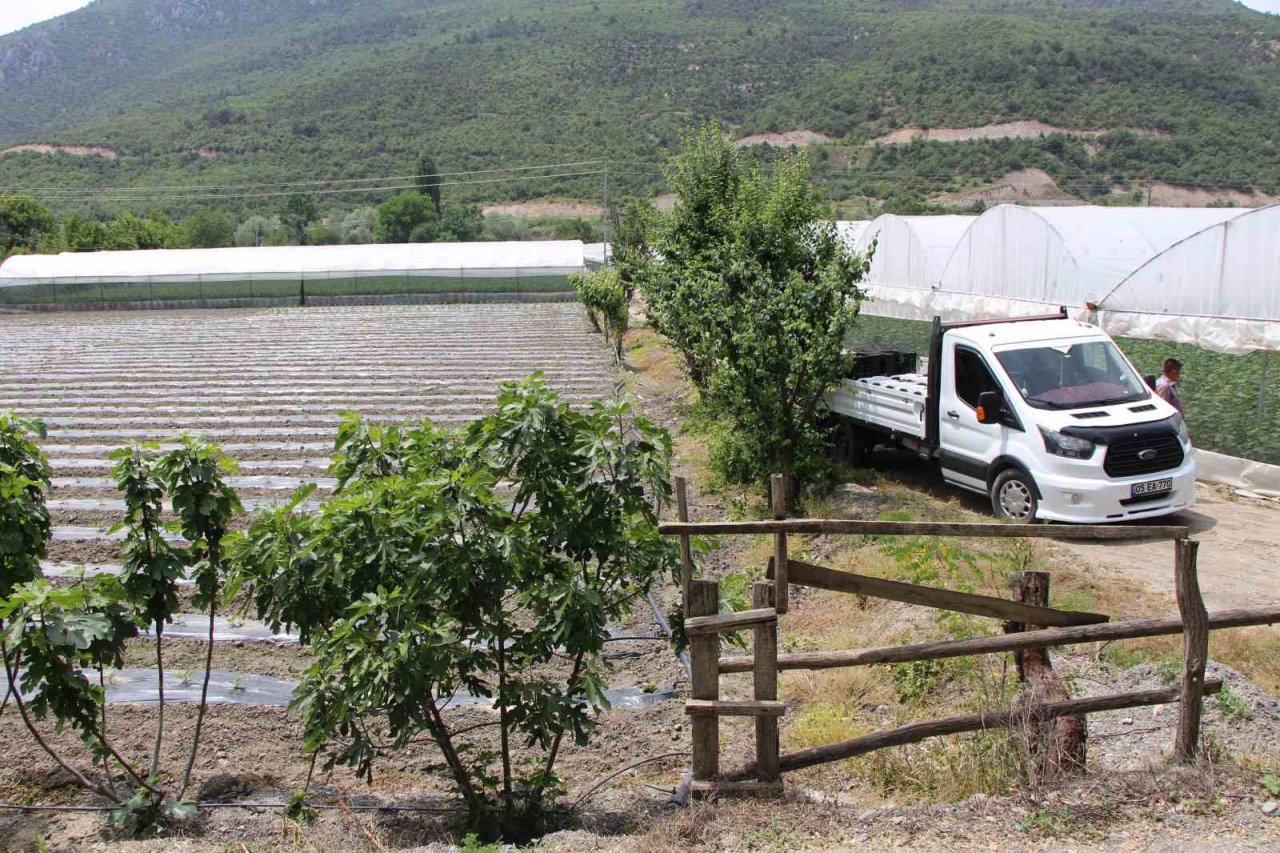 Yırtıcı hayvanlar seralarda hasara yol açtı, köylüler yardım istedi