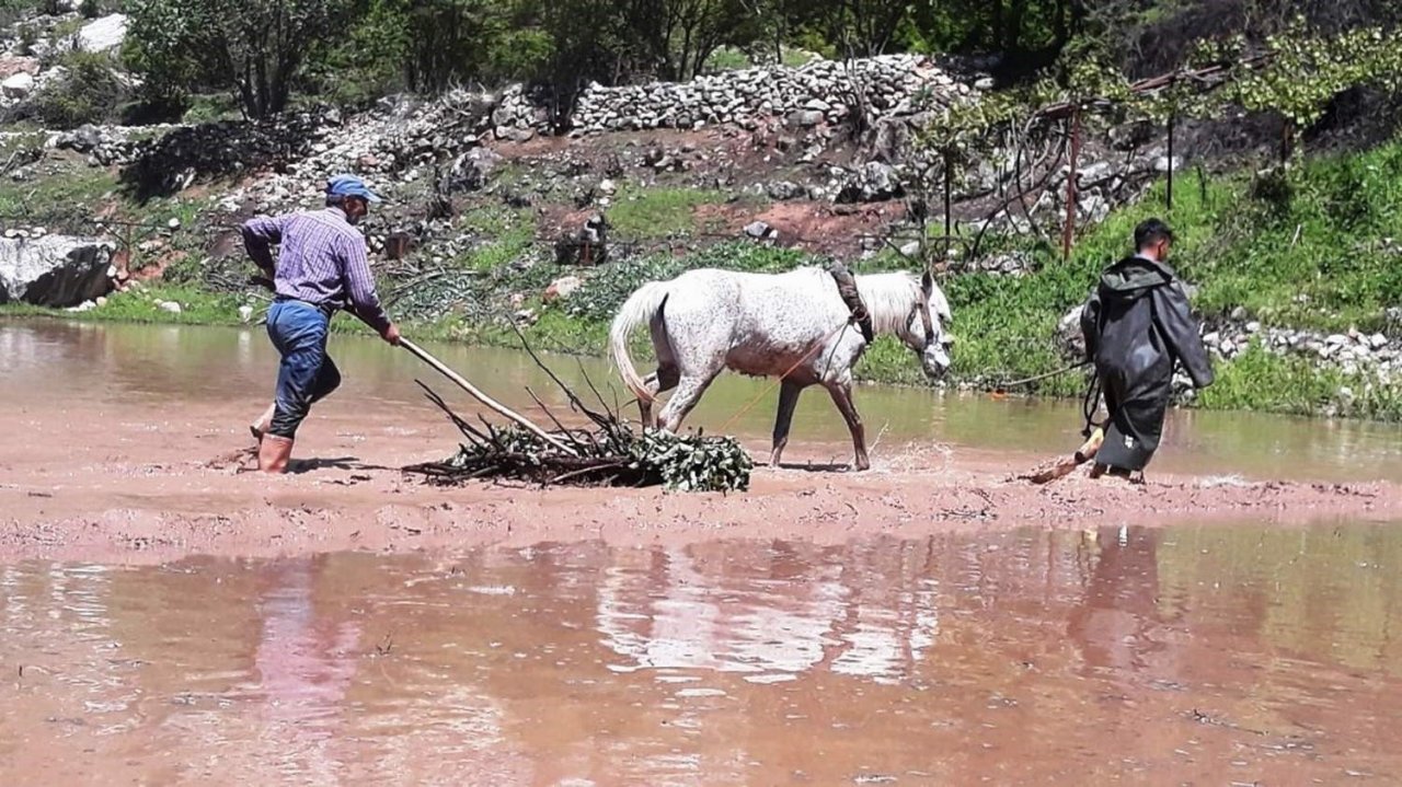 Siirt’te köylüler yıllardır hayvan gücüyle tohumları toprakla buluşturdu
