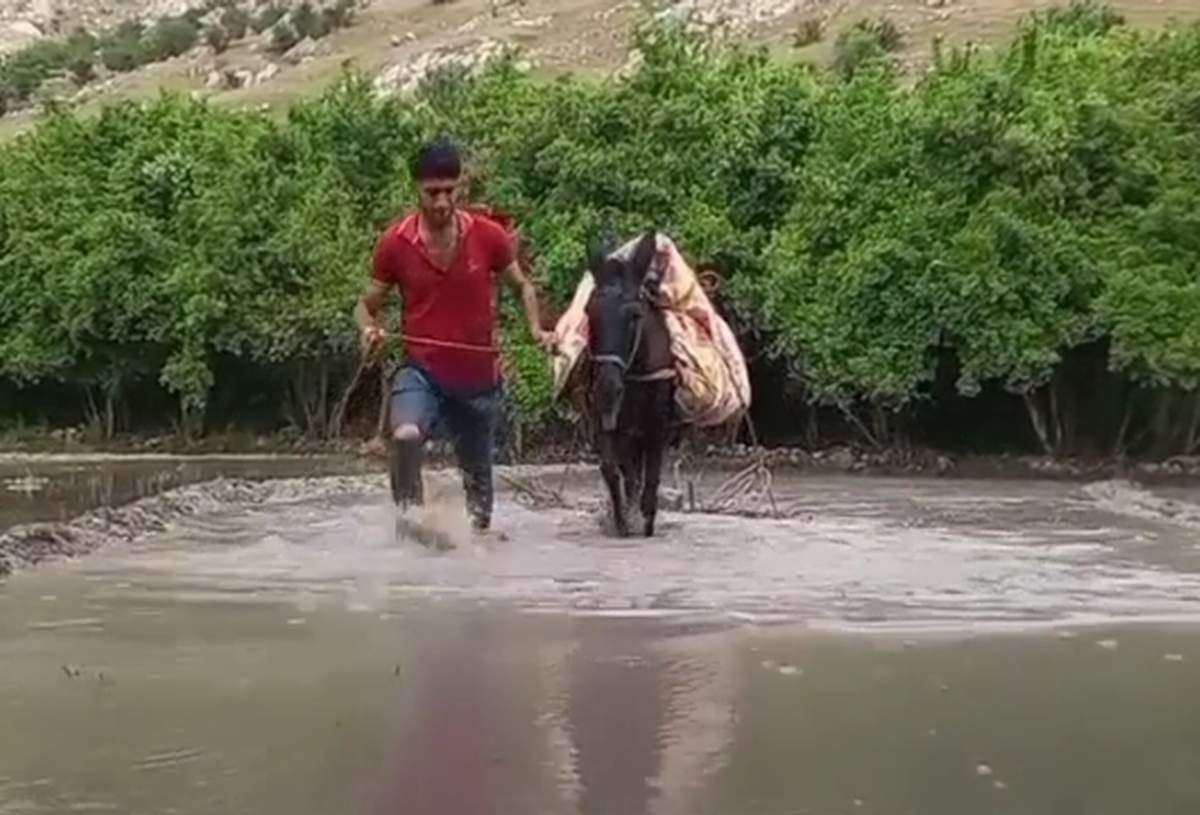 Siirt’te köylüler yıllardır hayvan gücüyle tohumları toprakla buluşturdu