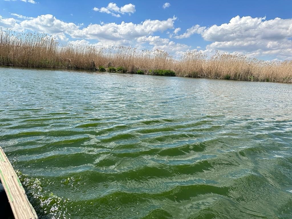 Bir çok yerinde kuruma başlayan Eber Gölü ile ilgili sevindiren gelişme