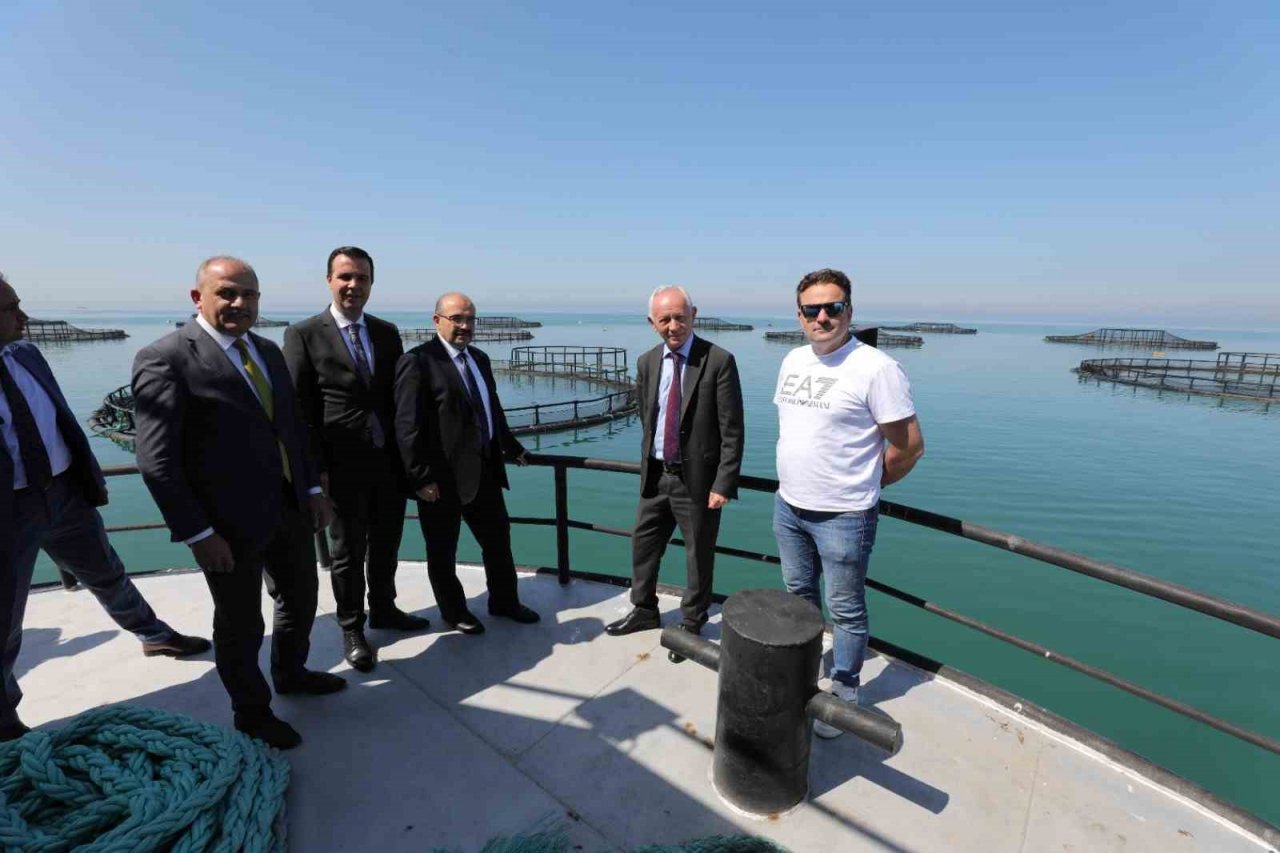 Trabzon’da somon hasadına başlandı