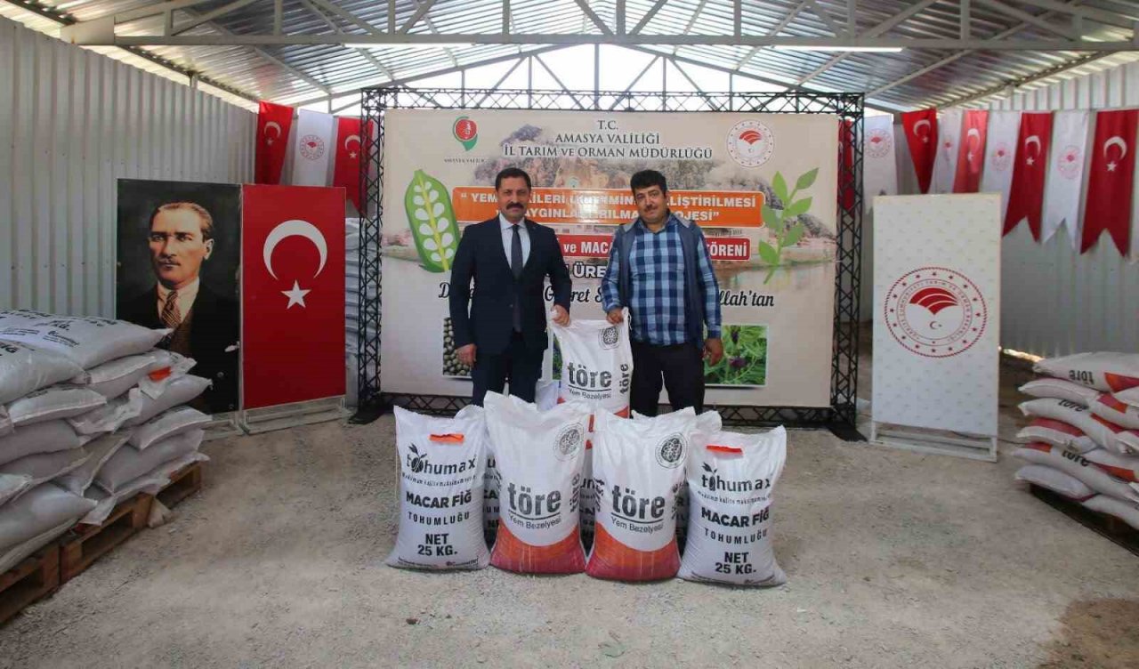 Amasya’da çiftçilere yem bitkisi tohumu dağıtıldı