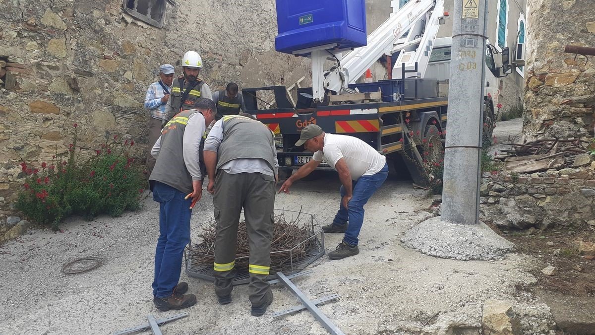 Gökçealan’a 40 yıl sonra gelen leyleklerine yeni yuva