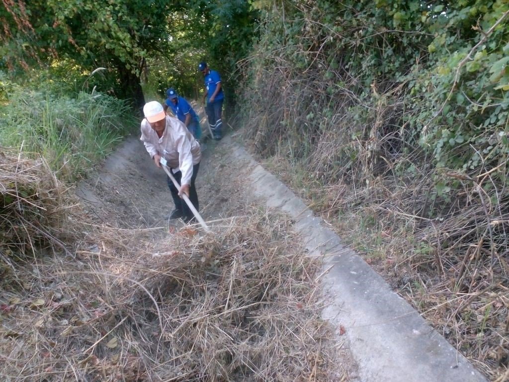 Büyükşehir’den Muğla tarımına destek