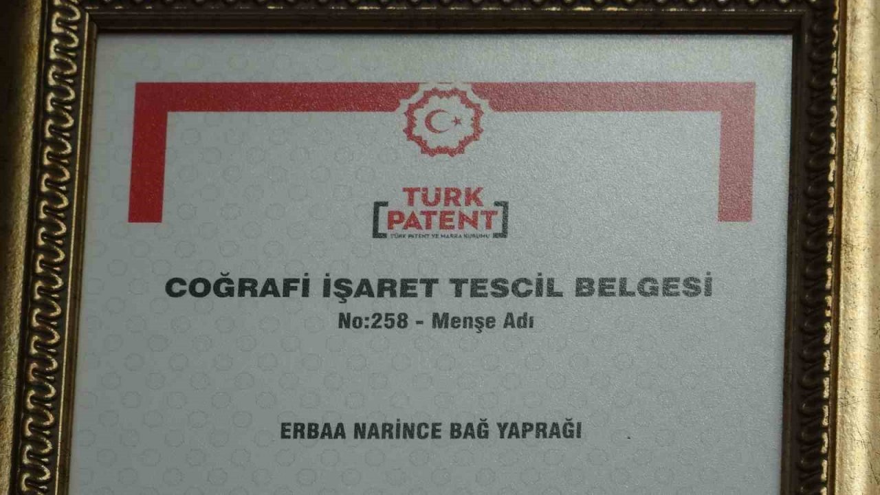 Tescilli Erbaa Yaprağına QR kodlu denetim