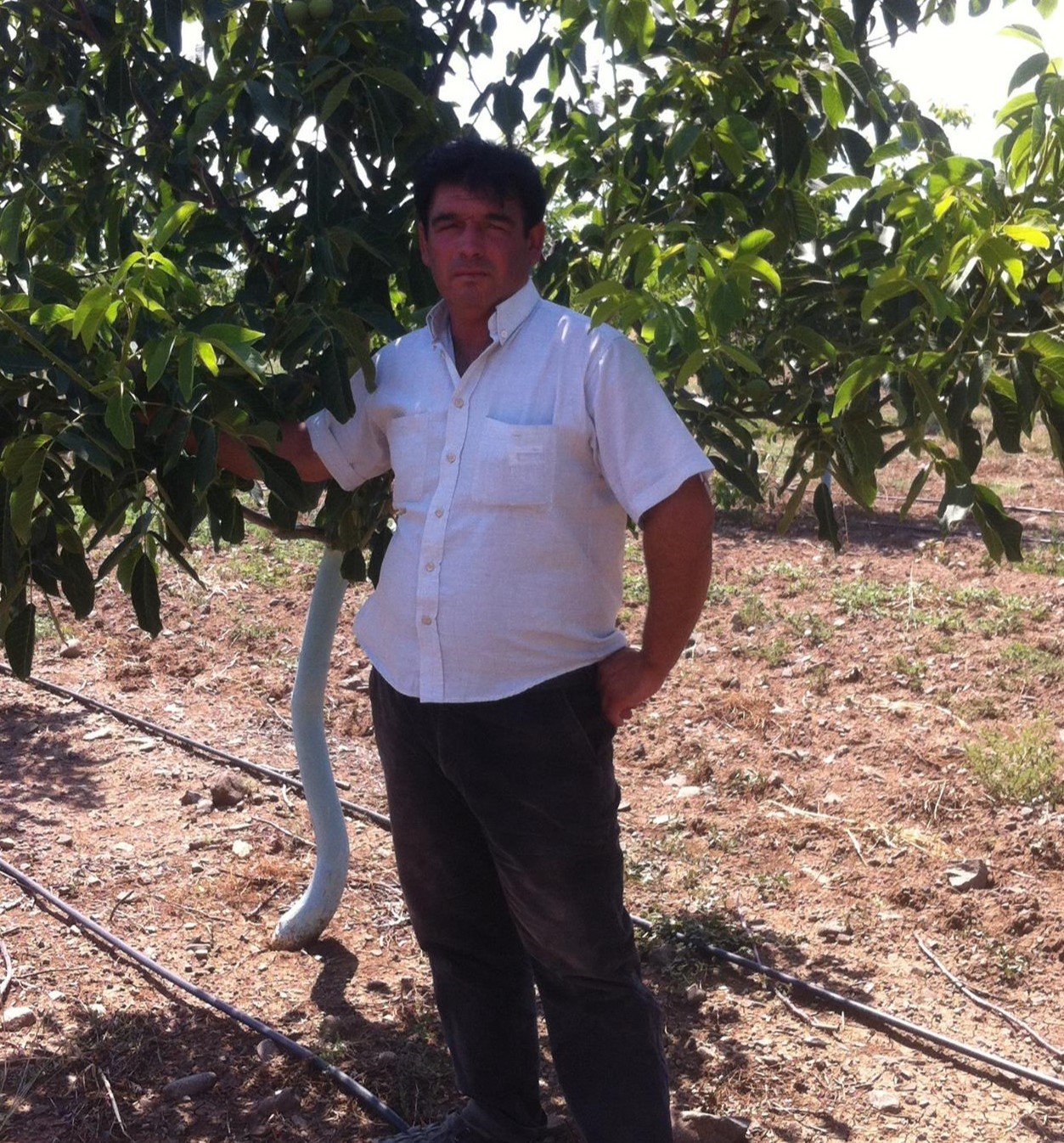 Üzüm bağında av tüfeğiyle öldürülen kadının komşusu tutuklandı