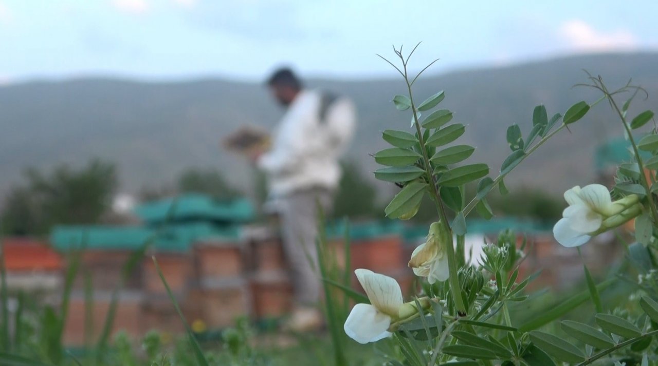 Muş’ta 100 bin kovandan 600 ton bal üretimi hedefleniyor