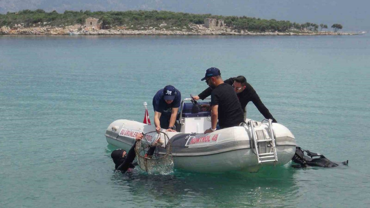 Sedir Adası’nda su altı ve kıyı temizliği