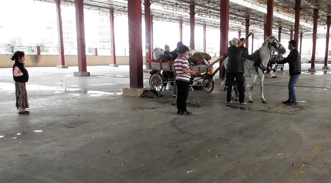 Başkan Özcan 8 kardeşin memleketlerine dönmelerini sağladı