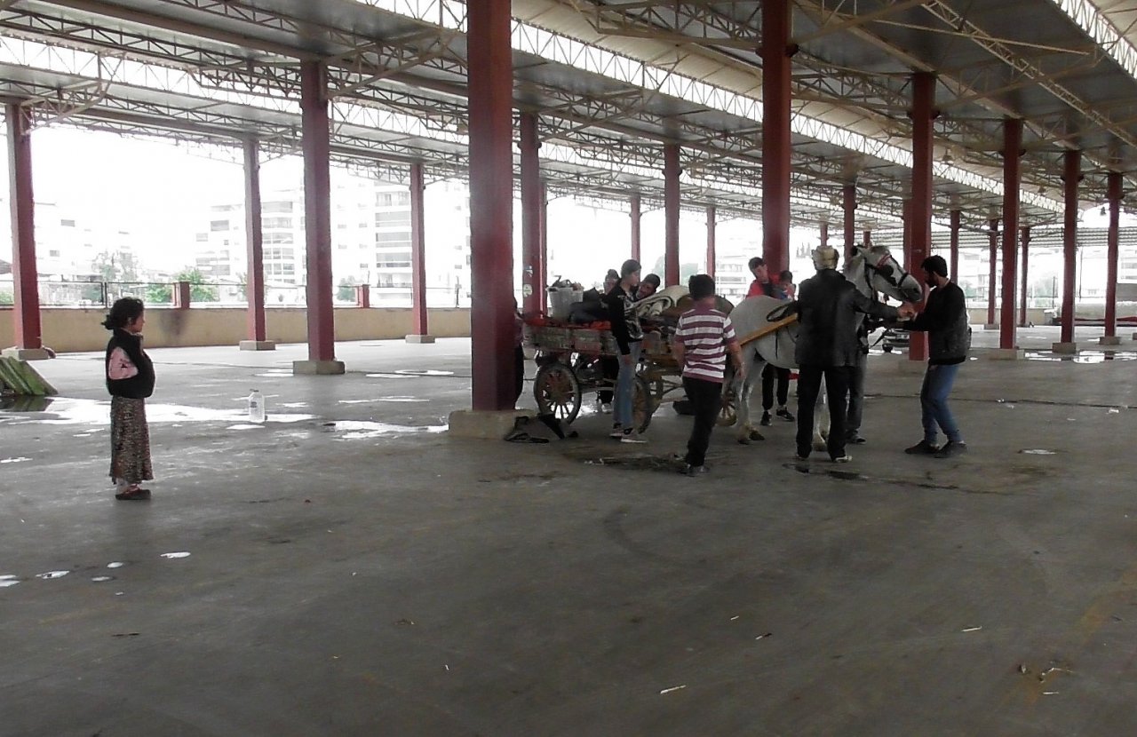 Başkan Özcan 8 kardeşin memleketlerine dönmelerini sağladı