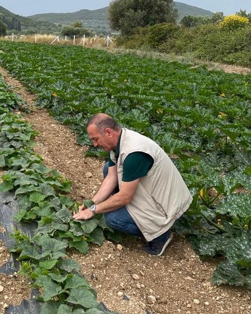 Didim’de hasat öncesi kimyasal kalıntı analizleri yapılıyor