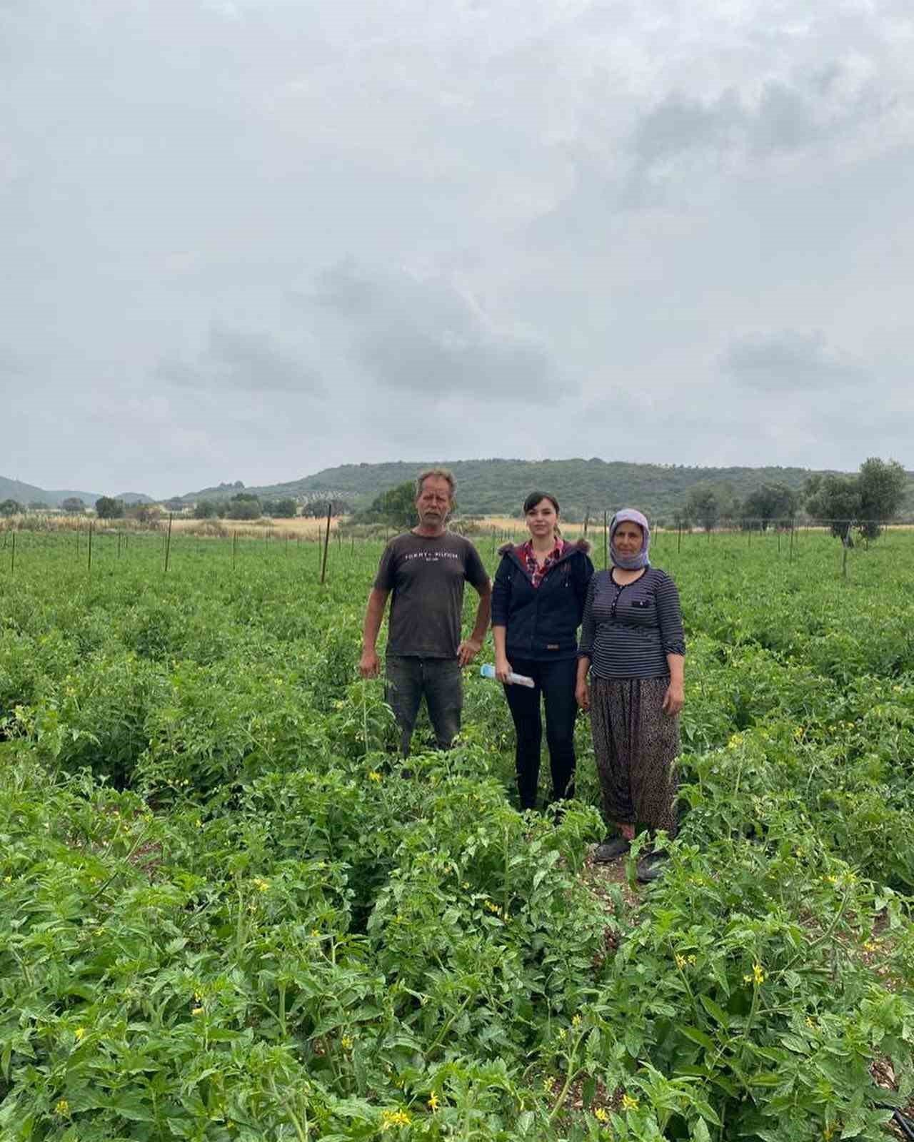 Didim’de hasat öncesi kimyasal kalıntı analizleri yapılıyor