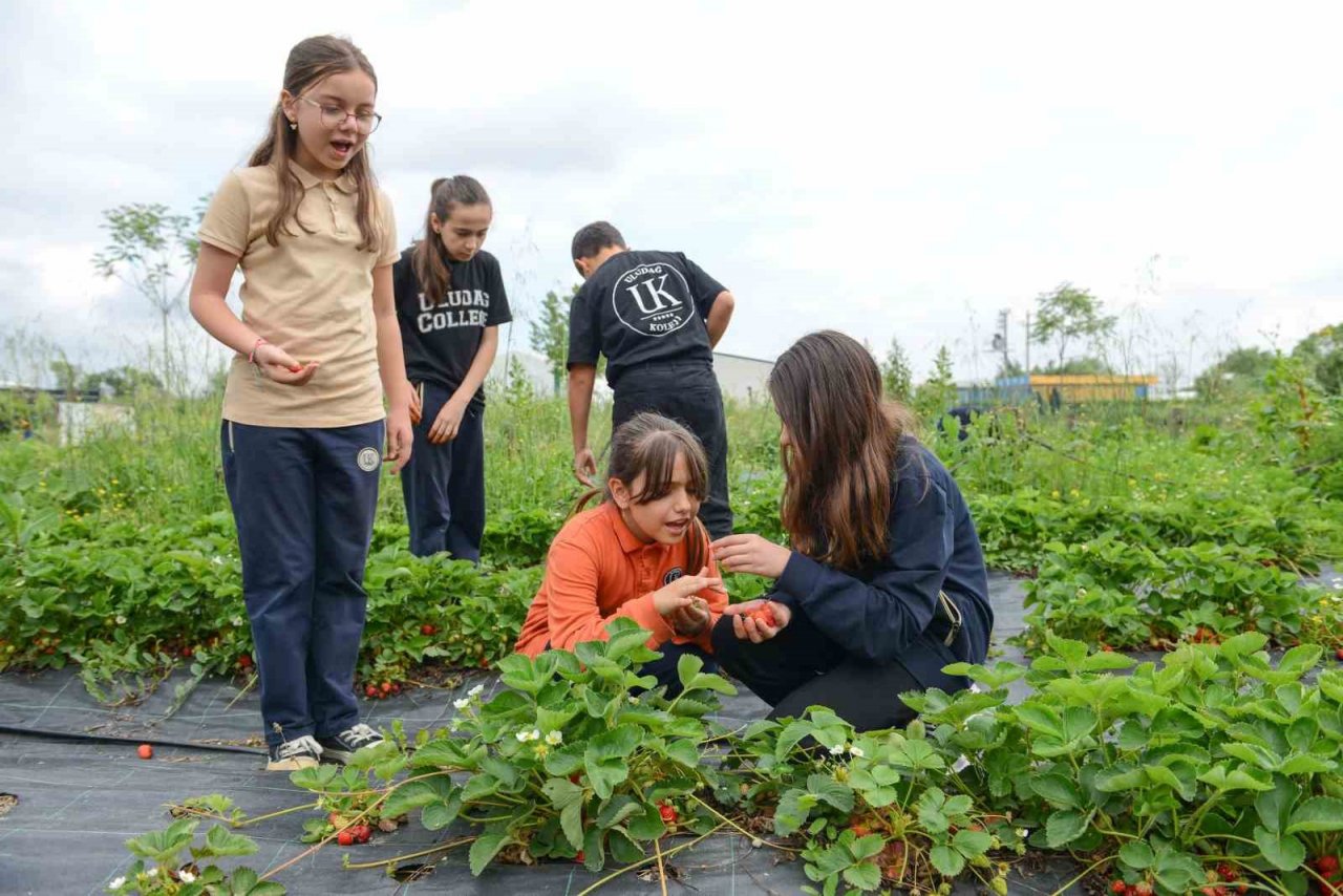 Nilüfer’de öğrenciler biyoçeşitlilik konusunu yerinde öğrendi