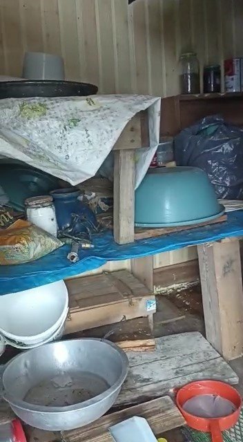 Ayılar yayla evlerini talan etti, vatandaş eve "Selamünaleyküm" diyerek girdi