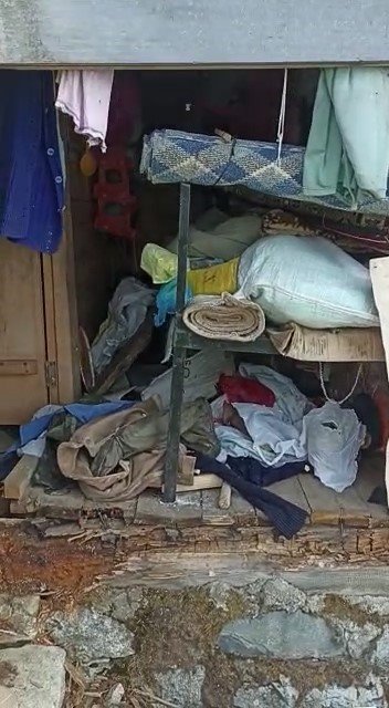 Ayılar yayla evlerini talan etti, vatandaş eve "Selamünaleyküm" diyerek girdi