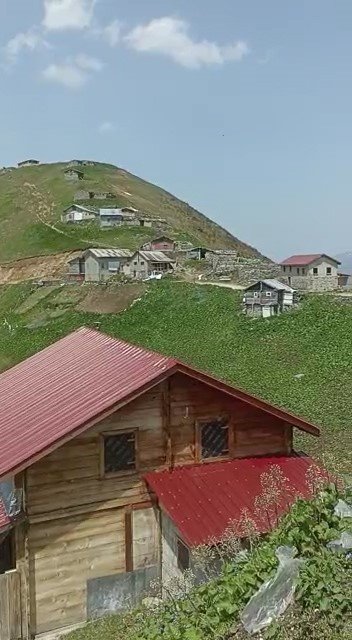 Ayılar yayla evlerini talan etti, vatandaş eve "Selamünaleyküm" diyerek girdi