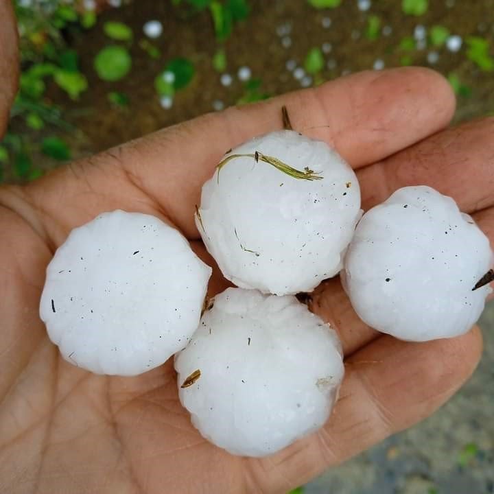 Trabzon’da dolu yağışı etkili oldu