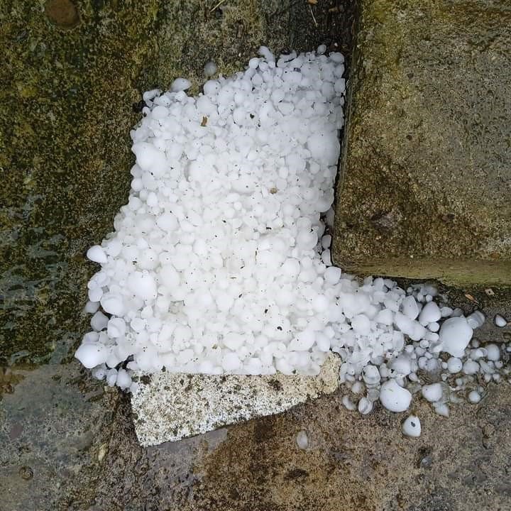 Trabzon’da dolu yağışı etkili oldu