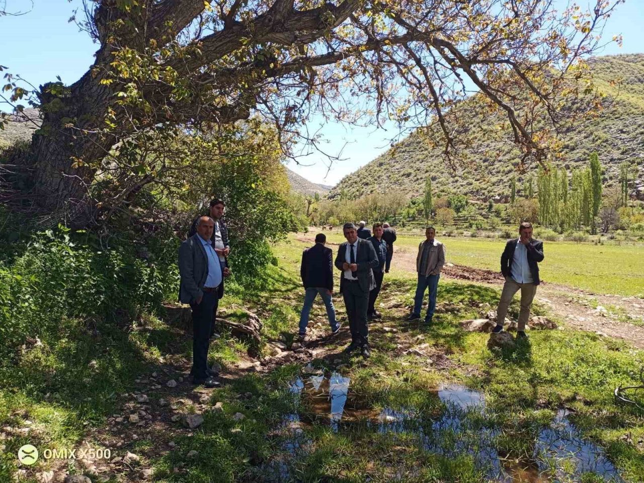 Siirt’te kuru fasulye yetiştirilecek