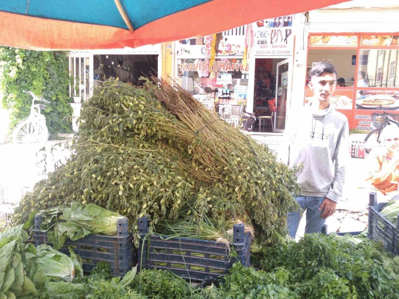 Yeşil nohut tezgahlarda yerini aldı