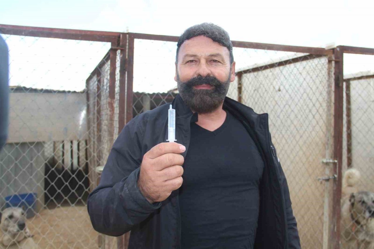 Uzman Kangal yetiştiricisi uyardı: “Yaz aylarında bu belirtilere dikkat”