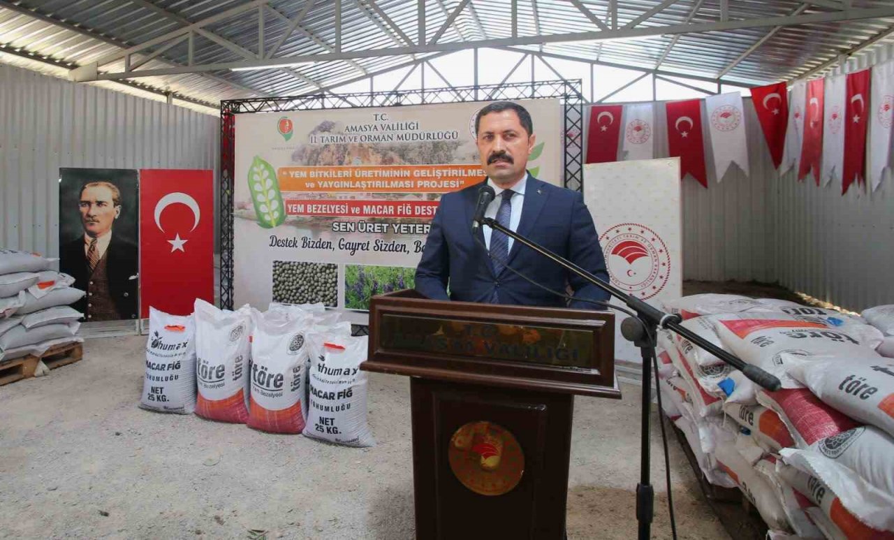 Amasya’da çiftçilere yem bitkisi tohumu dağıtıldı