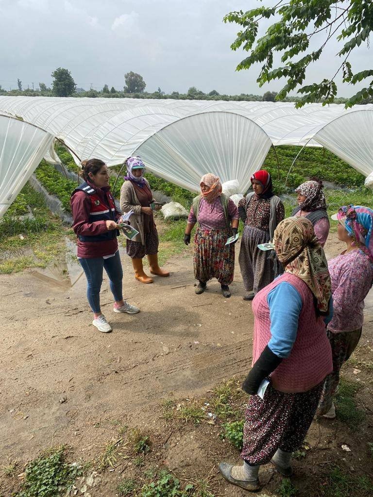 Jandarma, eğitimlerinde hız kesmiyor