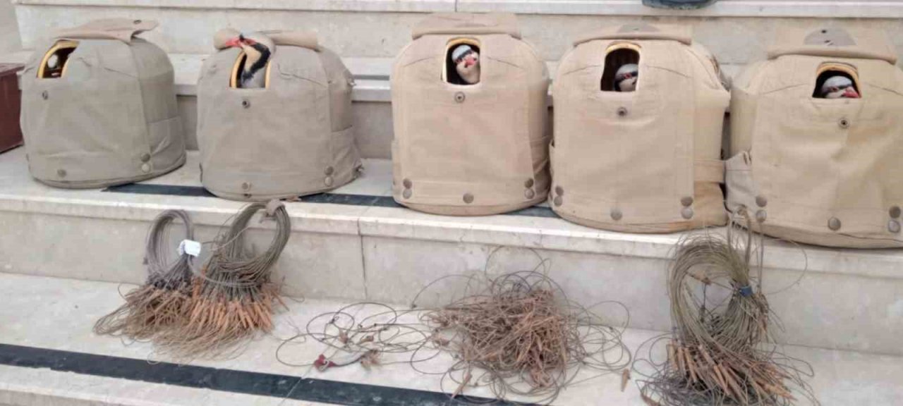 Elazığ’da yasa dışı avcılık yapan 4 kişi yakalandı