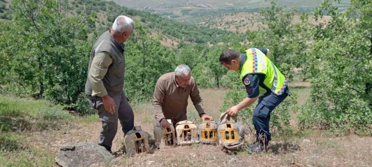 Elazığ’da yasa dışı avcılık yapan 4 kişi yakalandı