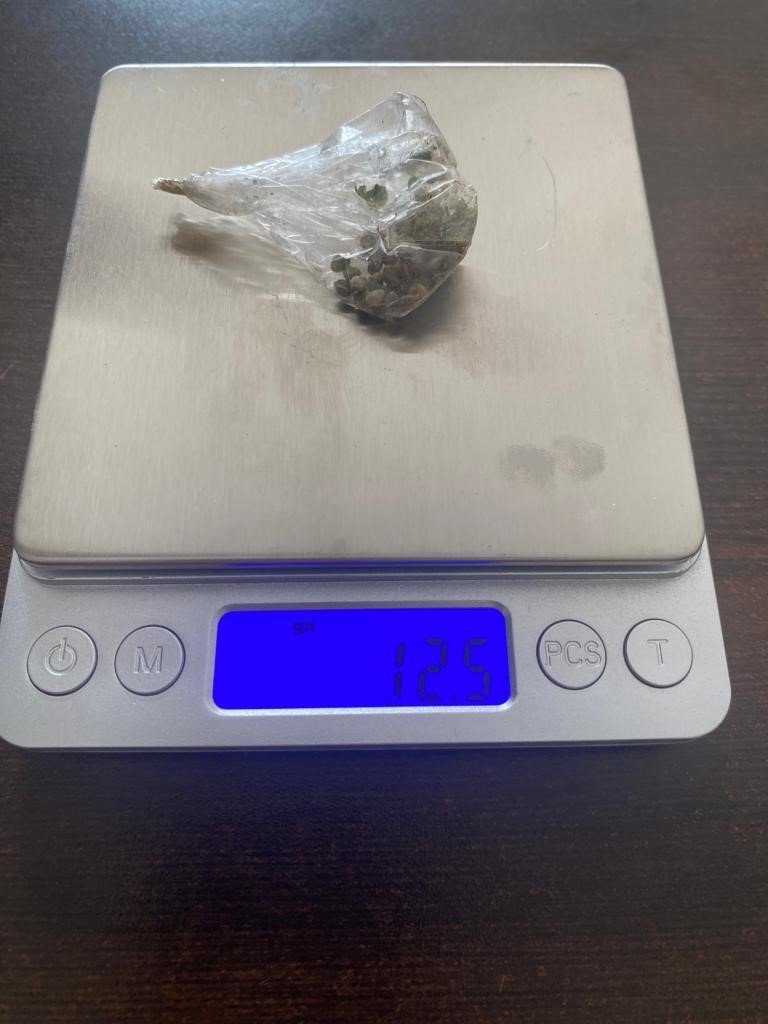 Üzüm bağında Hint keneviri yetiştirdi