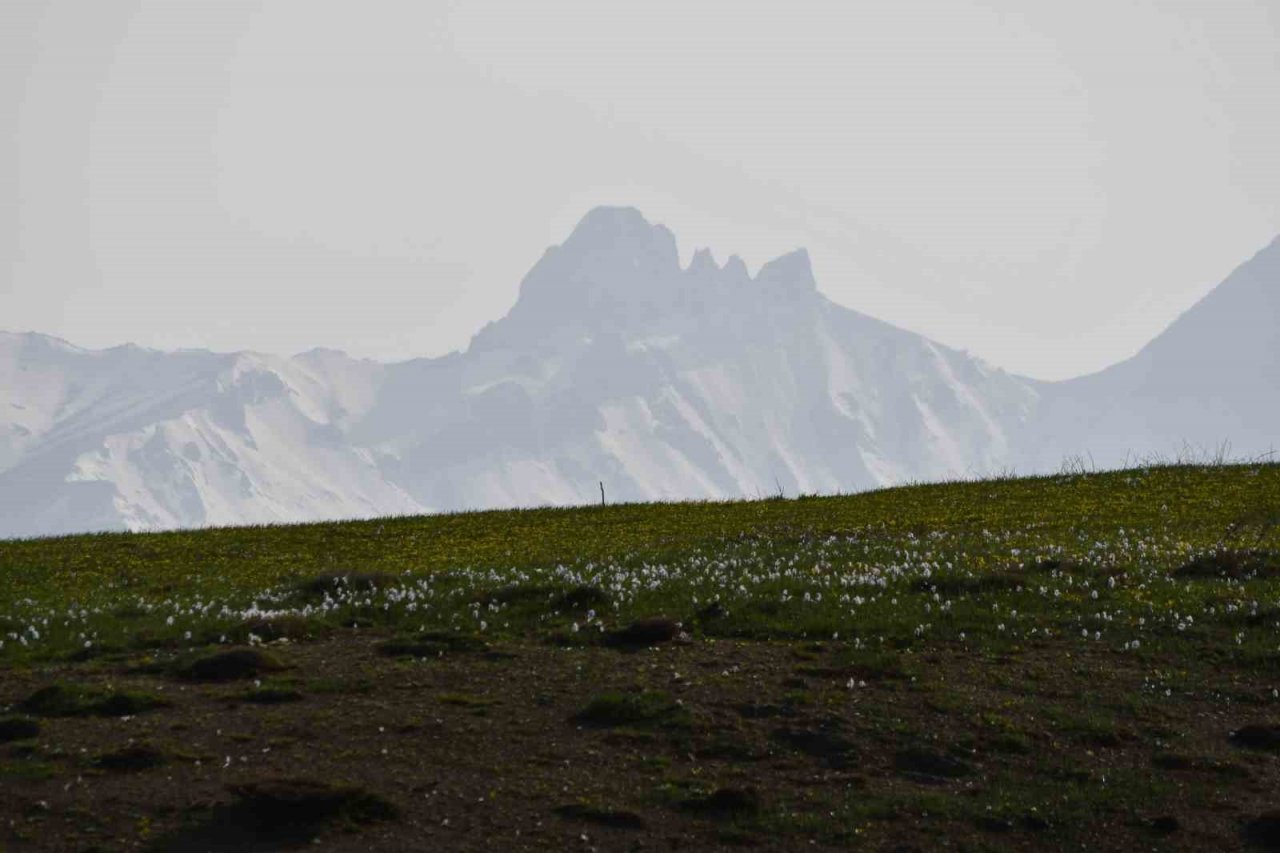 Şırnak yaylalarında kartpostallık fotoğraflar