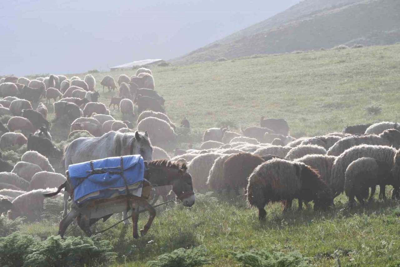 Şırnak yaylalarında kartpostallık fotoğraflar