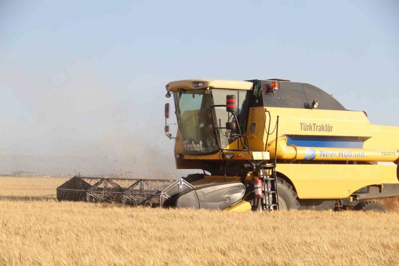 Depremin vurduğu Hatay Amik Ovası’nda buğday hasadı başladı