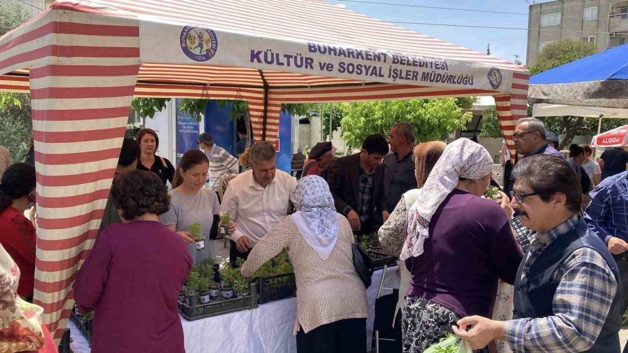 Doğal sivrisinek kovar fesleğenler yoğun ilgi gördü