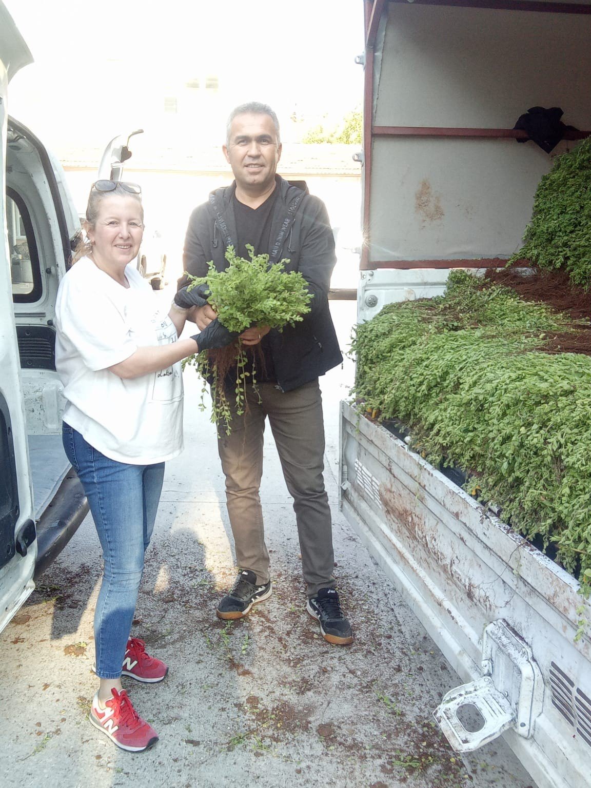 Efeler, artık kekik kokacak