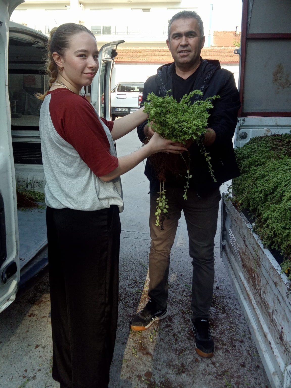 Efeler, artık kekik kokacak