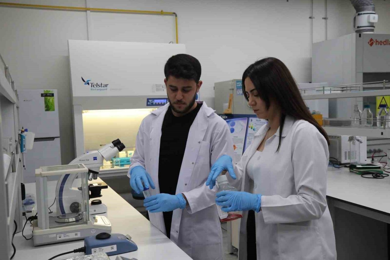 BTÜ öğrencileri diyabetik retinopati hastalığına çare oluyor