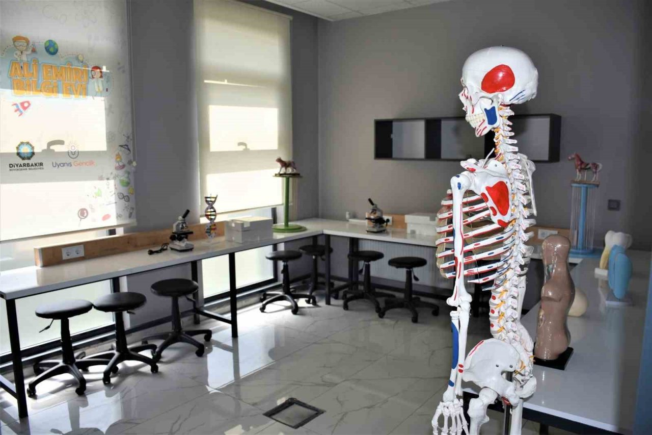 Yeni Cezeri’ler Bağlar’da yetişecek