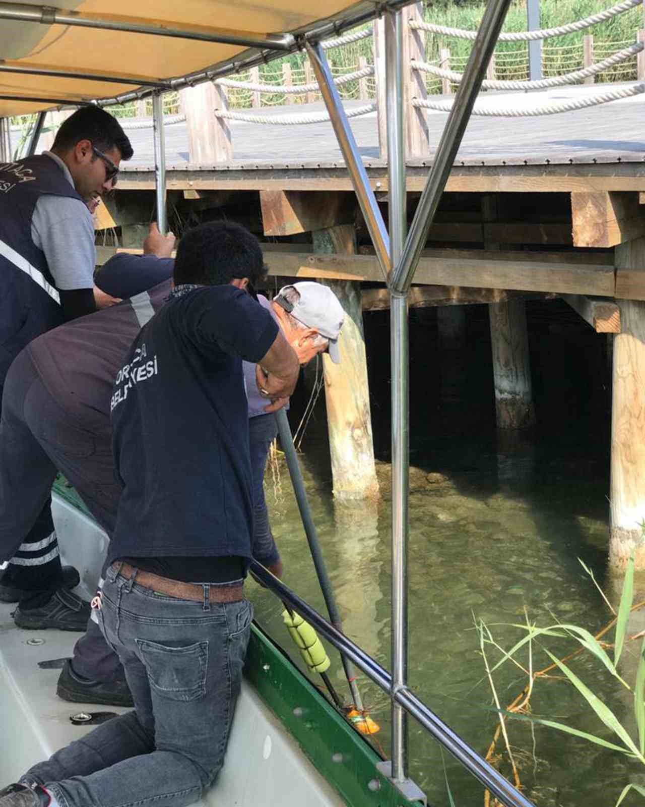 Dünyaca ünlü Dalyan Kanalı turizm sezonuna hazırlanıyor