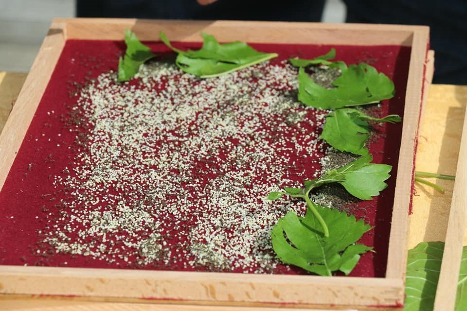 Elazığ’da eğitimi tamamlayan 25 üreticiye 90 kutu ipek böceği larvası dağıtıldı